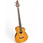 Used Breedlove Pursuit Bass Natural Acoustic Bass Guitar Natural