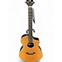 Used Breedlove Pursuit EX Concert CE ZC Natural Acoustic Electric Guitar Natural