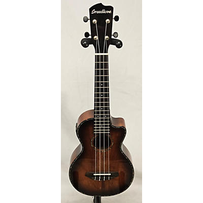 Breedlove Used Breedlove Pursuit Exotic CE Mytlewood Cinnamonburst Ukulele