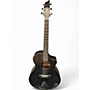 Used Breedlove Rainforest S African Mahogany  ORCHID Acoustic Electric Guitar ORCHID