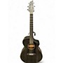 Used Breedlove Rainforest S African Mahognay Black Gold Acoustic Electric Guitar Black Gold