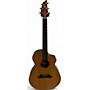 Used Breedlove Used Breedlove Sc/r Natural Acoustic Electric Guitar Natural