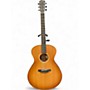 Used Breedlove USA Concerto E Cinnamon Burst Acoustic Electric Guitar Cinnamon Burst