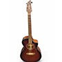 Used Breedlove WILDWOOD CONCERT SUEDE DARK NATURAL Acoustic Electric Guitar DARK NATURAL