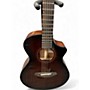 Used Breedlove WILDWOOD CP SUEDE CE DARK BROWN Acoustic Electric Guitar DARK BROWN