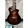 Used Breedlove Used Breedlove Wildwood Pro Concert Mahogany Acoustic Electric Guitar Mahogany