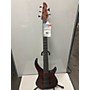 Used Cirrus Used CIRRUS EXP 5 STRING Trans Brown Electric Bass Guitar Trans Brown