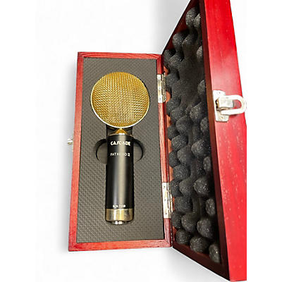 Used Cascade Fat Head II Ribbon Microphone