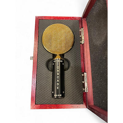 Used Cascade Fat Head Ribbon Microphone