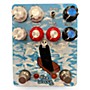 Used Champion Leccy The Woozy Effect Pedal