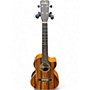 Used Cordoba 25t-ce Natural Ukulele Natural