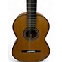 Used Cordoba C9 Parlor Brown Classical Acoustic Guitar Brown