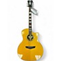 Used D'Angelico dapscg200 Antique Natural Acoustic Electric Guitar Antique Natural