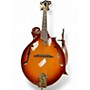 Used Danville MA-009 3 Color Sunburst Mandolin 3 Color Sunburst
