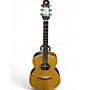 Used Darren R Hippner om-50 Natural Acoustic Guitar Natural
