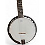 Used Dean Used Dean Backwoods 6 Gloss Natural Banjo gloss natural