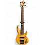 Used ESP LTD B206SM 6 String Spalted Maple Electric Bass Guitar Spalted Maple