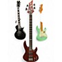 Used ESP LTD D4 DARK NATURAL Electric Bass Guitar DARK NATURAL