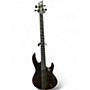 Used ESP LTD DELUXE B-1004 Mahogany Electric Bass Guitar Mahogany
