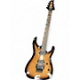 Used ESP LTD H1001QM Deluxe Floyd Rose burl burst Solid Body Electric Guitar burl burst