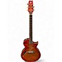 Used ESP LTD TL6 Tiger Eye Burst Acoustic Electric Guitar Tiger Eye Burst