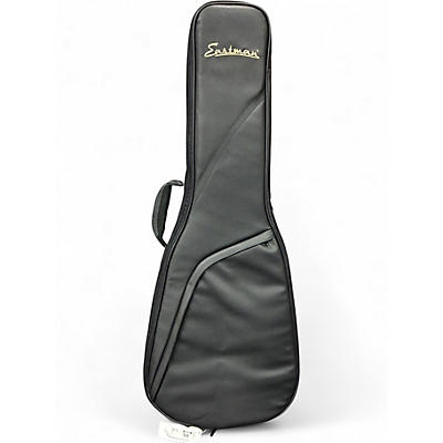 Used Eastman CASE Electric Guitar Case