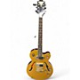 Used Epiphone Wildcat Gold Top Hollow Body Electric Guitar Gold Top
