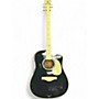 Used Esteban VL10 Gray Acoustic Electric Guitar Gray