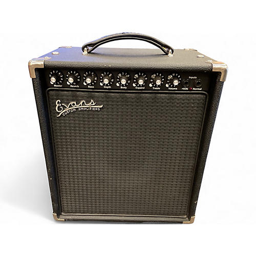 Used Evans DPU200 Guitar Combo Amp
