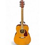 Used Fender Used Fender DG7 Natural Acoustic Guitar Natural