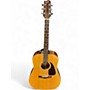 Used Fender F210 Natural Acoustic Guitar Natural