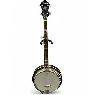 Used Fender FB-54 Banjo Natural Banjo