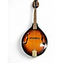 Used Fender FM-53S  Sunburst Mandolin Sunburst