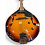 Used Fender FM52E 2 Color Sunburst Mandolin 2 Color Sunburst