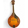 Used Fender PM-180E AGED COGNAC BURST Mandolin AGED COGNAC BURST