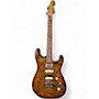 Used Franken STEIN-O-CASTER Brown Solid Body Electric Guitar Brown