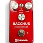Used GAMMA bachus