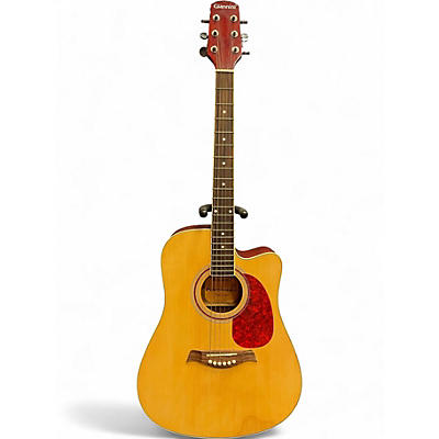 Used Giannini DG41 Natural Acoustic Electric Guitar