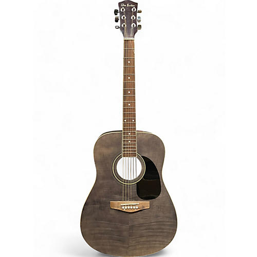 Glen Burton Used Glen Burton GA101FCO-BK Black And Silver Acoustic Guitar Black and Silver