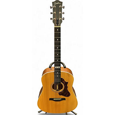 Godin Acoustic Guitars | Musician's Friend