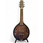 Used Gold Tone A-6 A style Mando-Guitar Tobacco Sunburst Mandolin Tobacco Sunburst