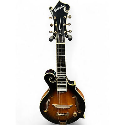 Used Gold Tone F-6+ 2 Color Sunburst Mandolin