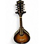 Used Gold Tone GM 50 Tobacco Burst Mandolin Tobacco Burst