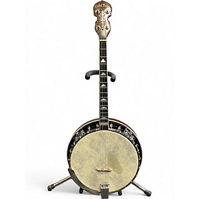 Used Gold Tone IT-250 closed back Natural Banjo