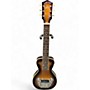 Used Gold Tone LS6 6 String Tobacco Sunburst Lap Steel Tobacco Sunburst