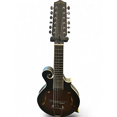 Used Goldtone F12 12-String Manditar Dark Burst Mandolin