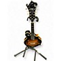 Used Goldtone GM300 sunburst Mandolin sunburst