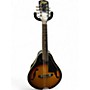 Used Goya GM16 2 Color Sunburst Mandolin 2 Color Sunburst