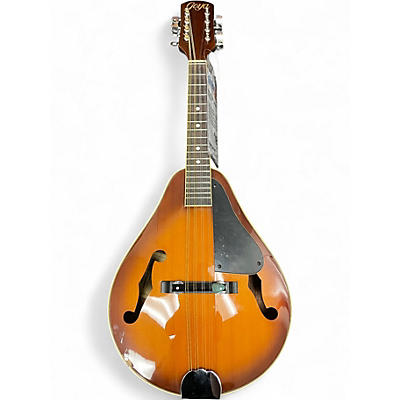 Used Goya gm 16 Natural Mandolin
