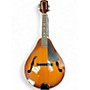 Used Goya gm 16 Natural Mandolin Natural